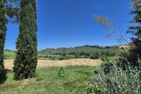 corinaldo-sette