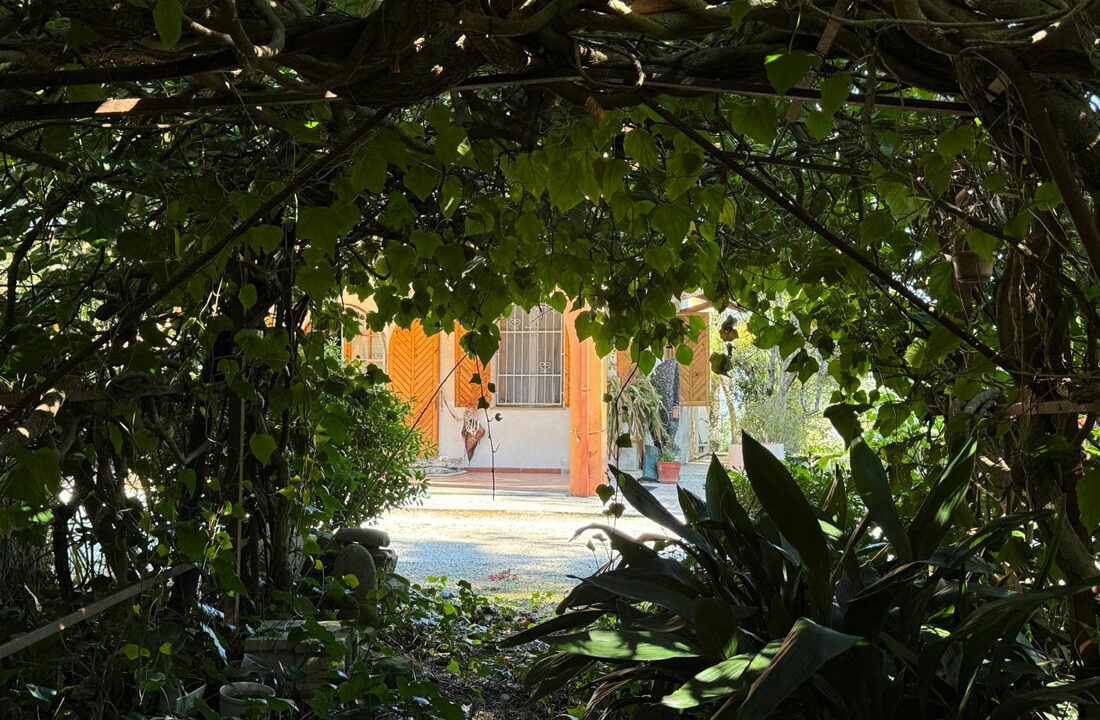 Casa-Mexico-diciannove