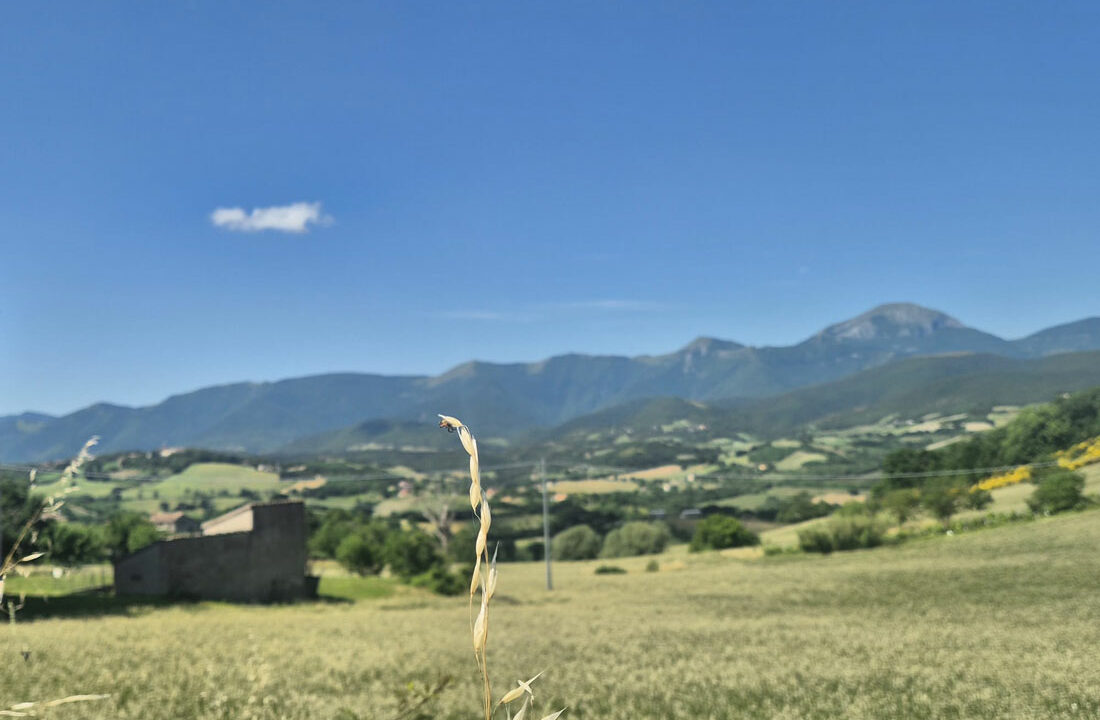 Murazzano-otto
