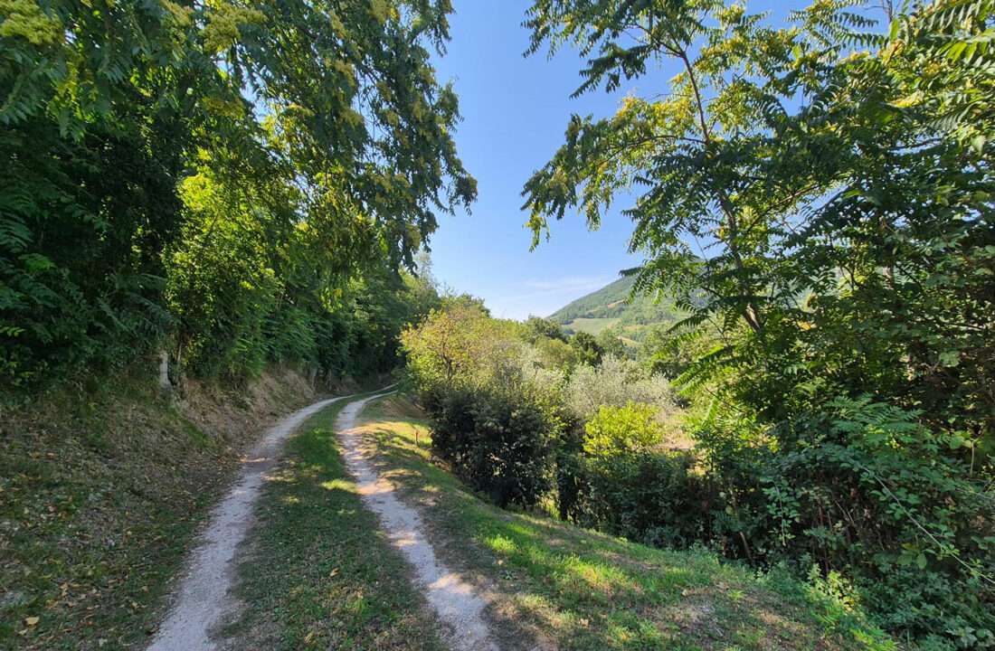 Frassasi-nove