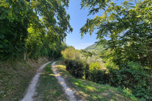 Frassasi-nove