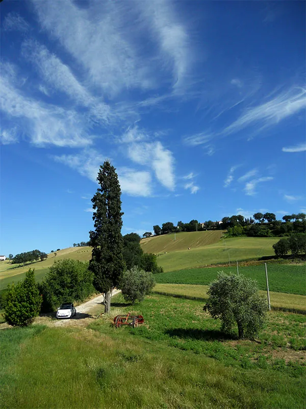 Caratteristico scorcio della campagna marchigiana