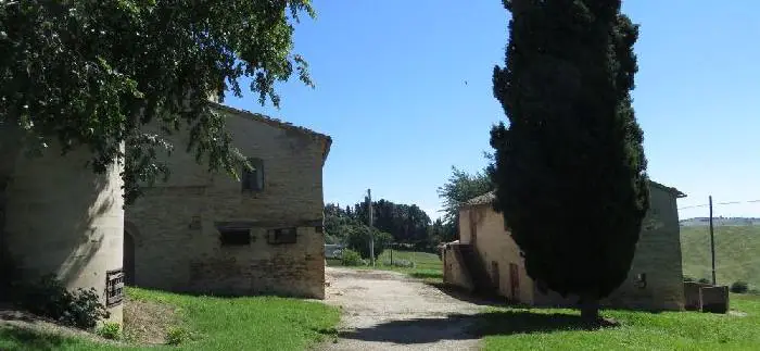 bellasibillaotto