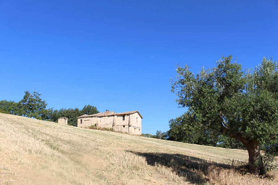 Casolare da ristrutturare a Cingoli