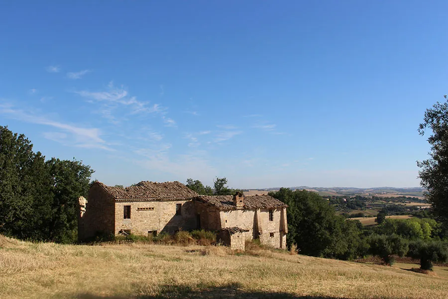 Casolare dei girasoli sulle colline marchigiane di Cingoli