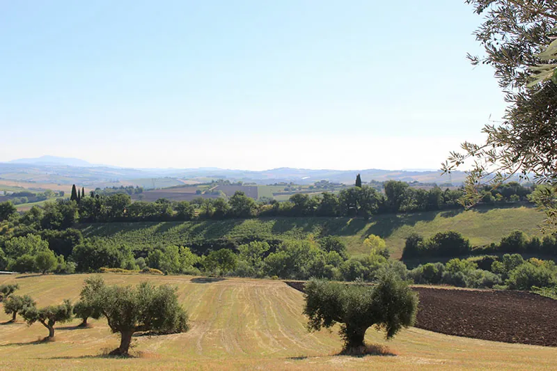 Paesaggi Marche - dalle colline di Cingoli