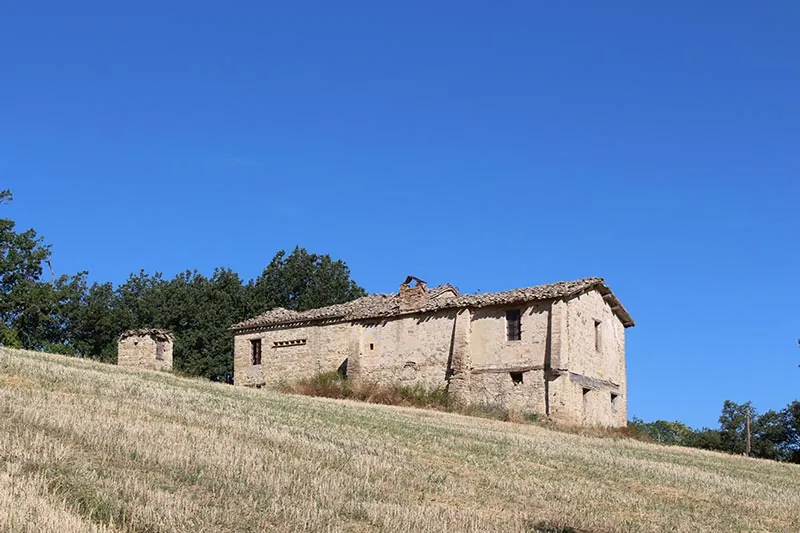 Casolare dei girasoli vicino Cingoli