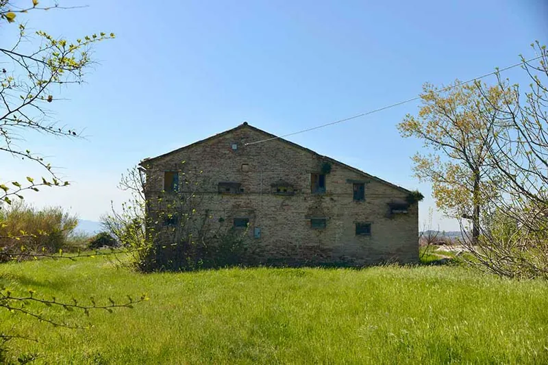 Casale da restaurare a Filottrano nelle Marche