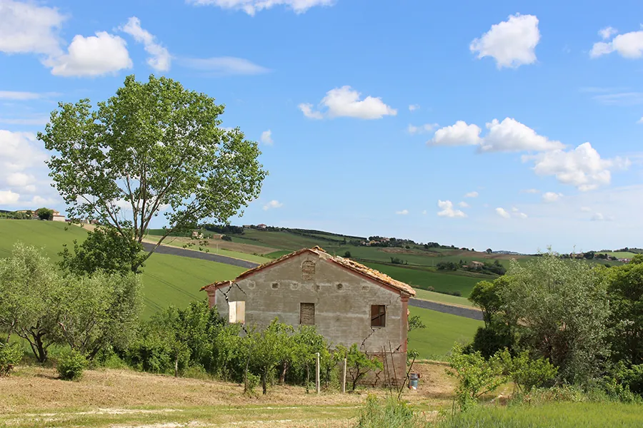 Casale con terreno a Filottrano