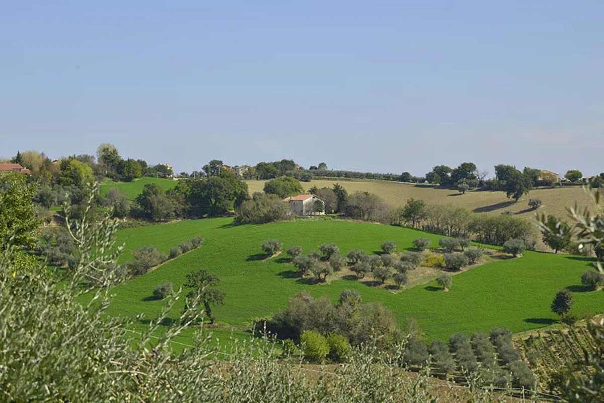 Casale con terreno a Ostra vicino Ancona