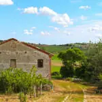 casali nelle Marche con terreno agricolo