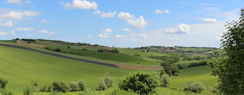 ruderetredici