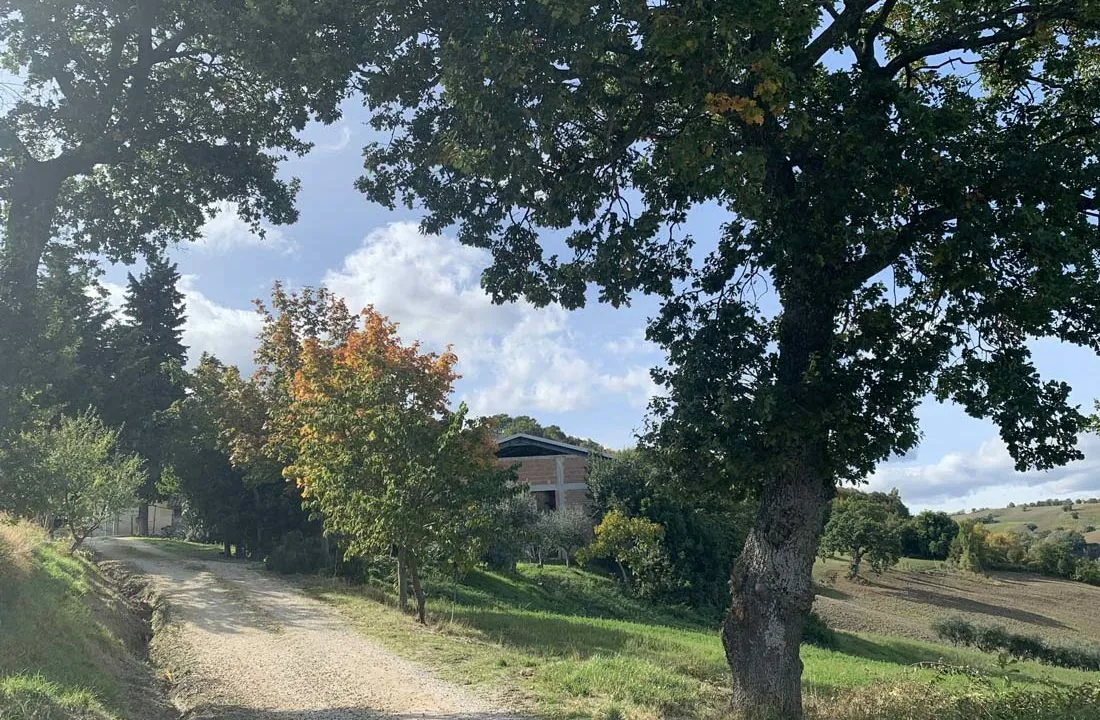 Farmhouse QuerciabellaCingoli, Macerata, Marche