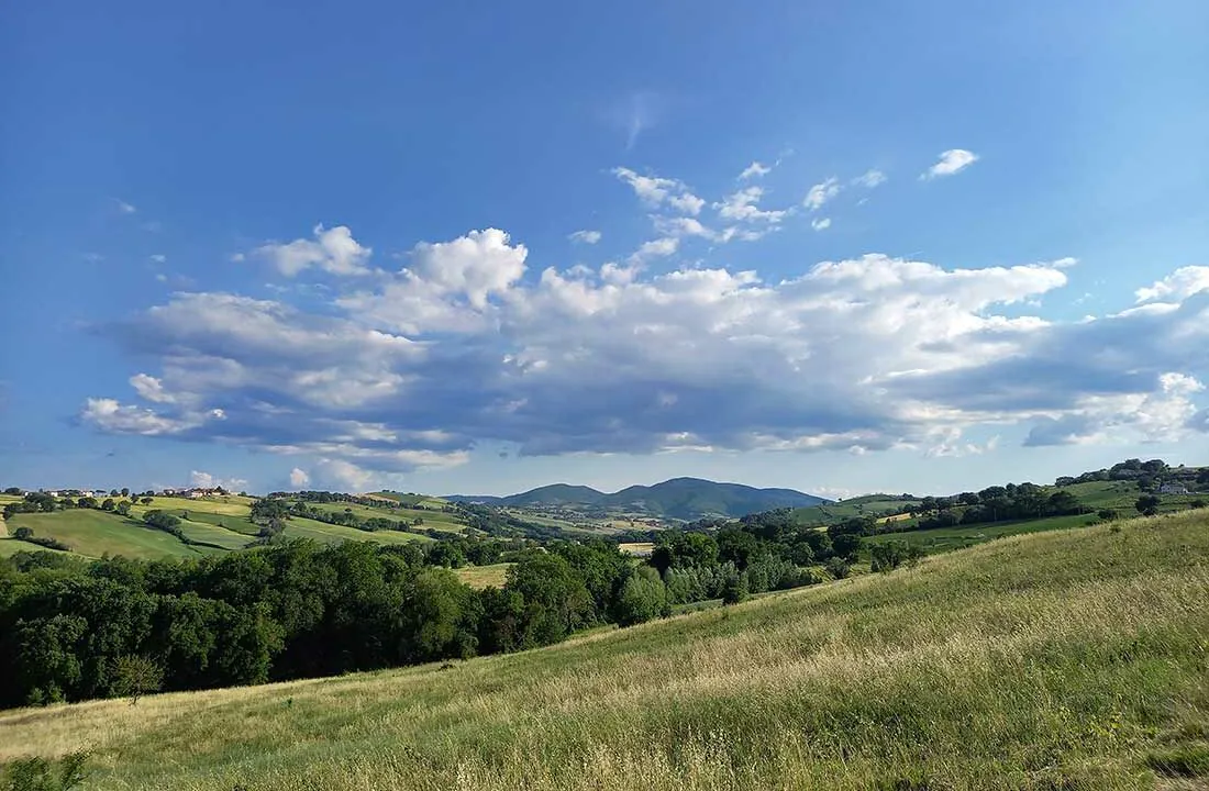 matpanorama-caasale