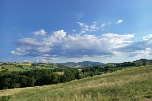 matpanorama-caasale