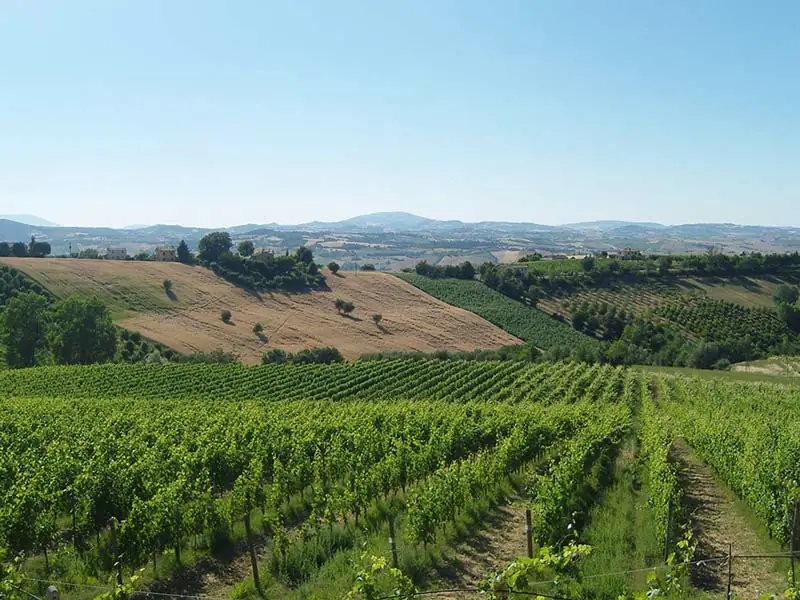 casale colline delle marche