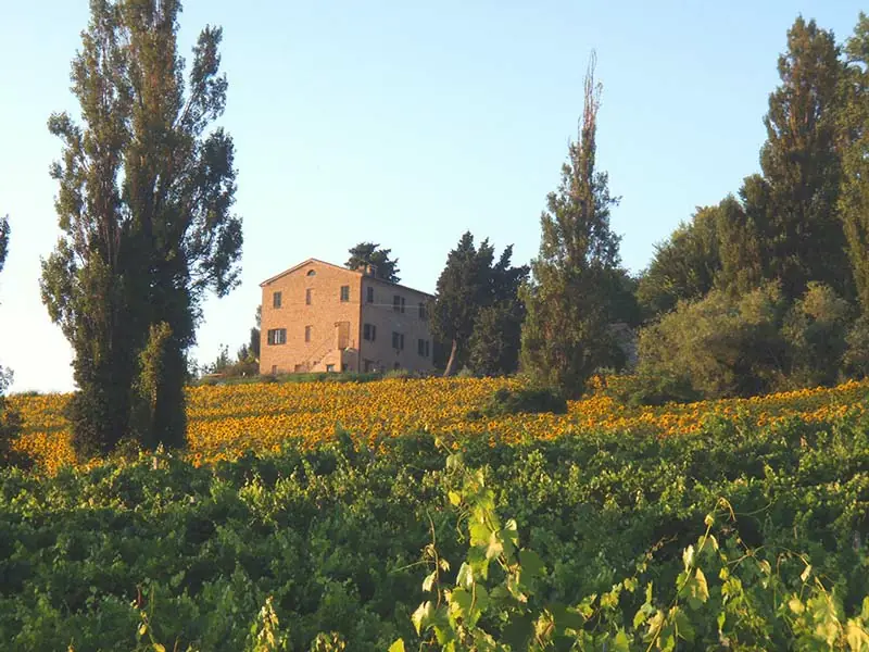 casale con giardino nelle marche