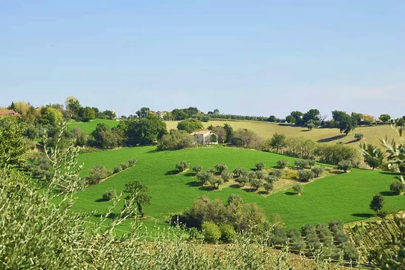 Casale colle celeste