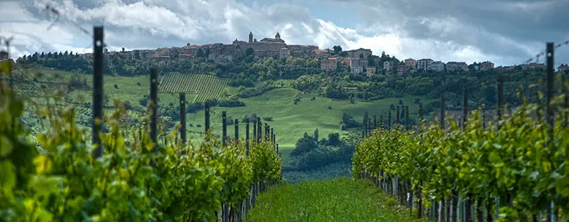 Cupramontana Verdicchio Weinhauptstadt