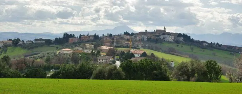 Salamora von Belvedere Ostrense