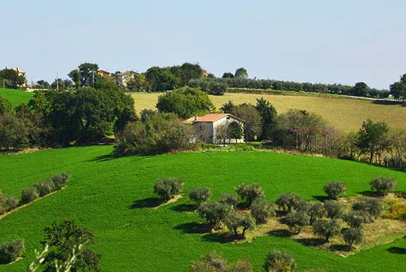 Casale da ristrutturare a Ostra