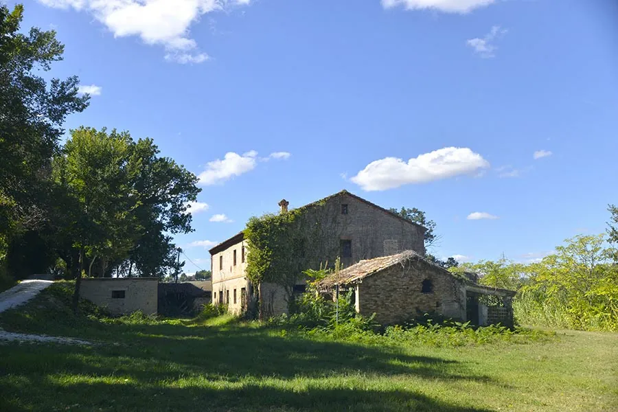 Casolare del Vino a Morro d'Alba