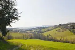 casale-pesaro-terreno