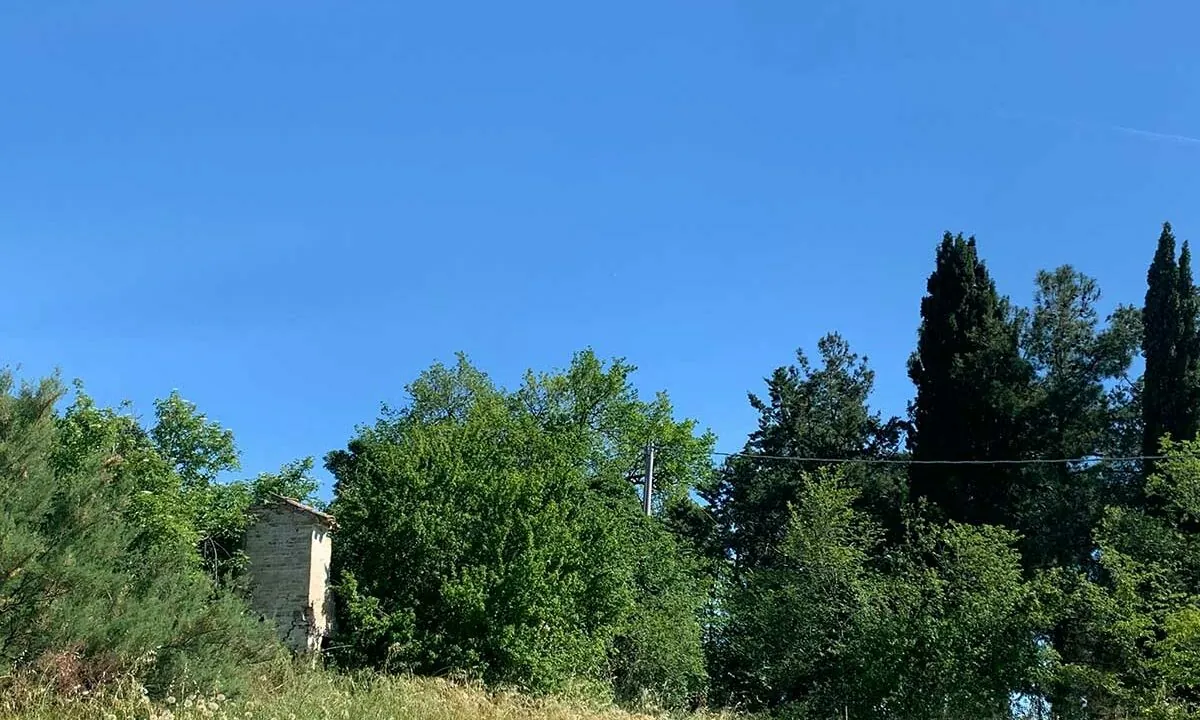 poggiolino-ciqnue