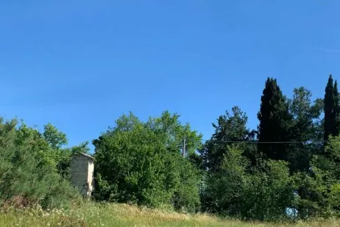 poggiolino-ciqnue