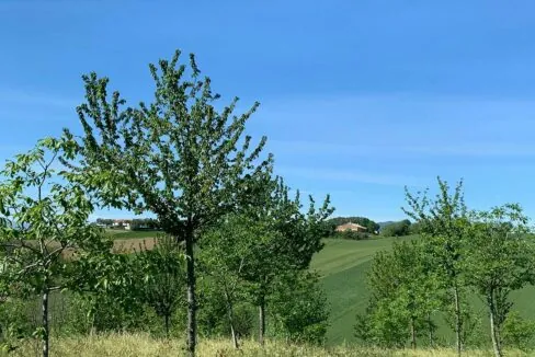 poggiolino-quattro