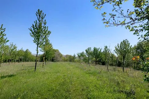 casale-filoro-campo