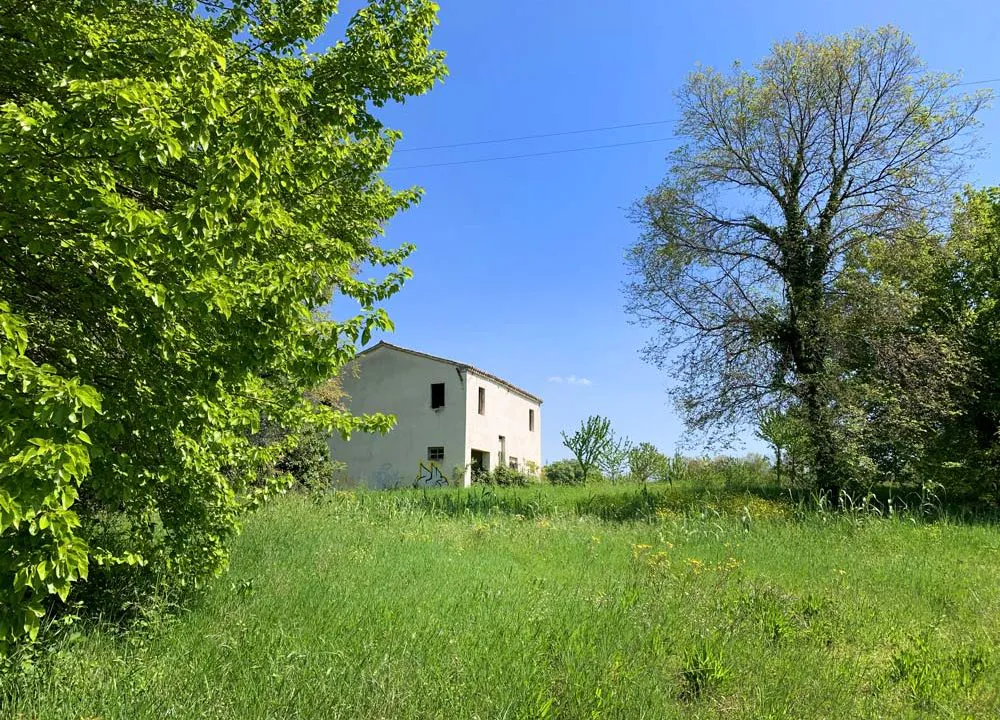 casale-filoro-corner