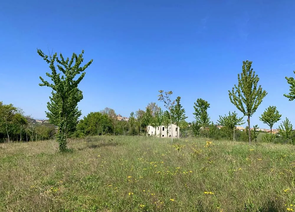 casale-filoro-lontano