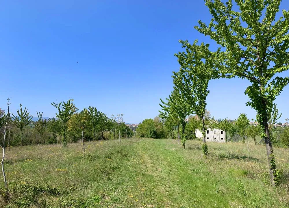 casale-filoro-panorama
