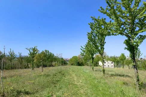 casale-filoro-panorama