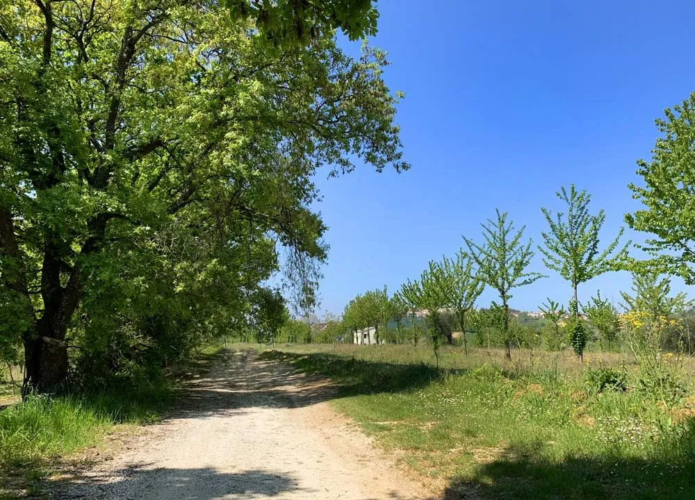 casale-filoro-strada