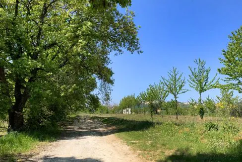 casale-filoro-strada