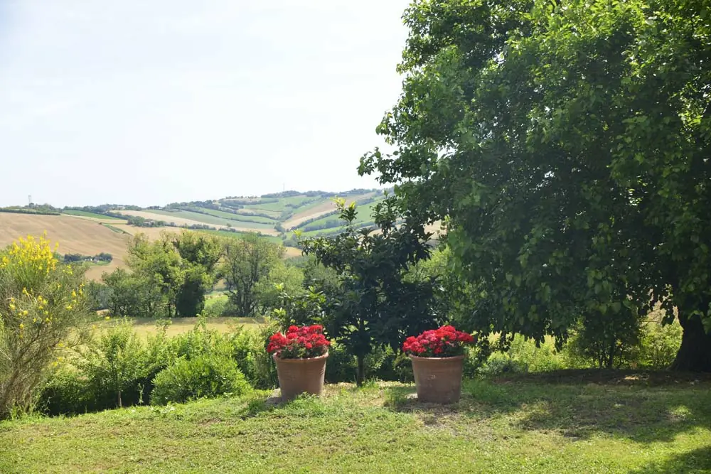casale-senigallia-panorama