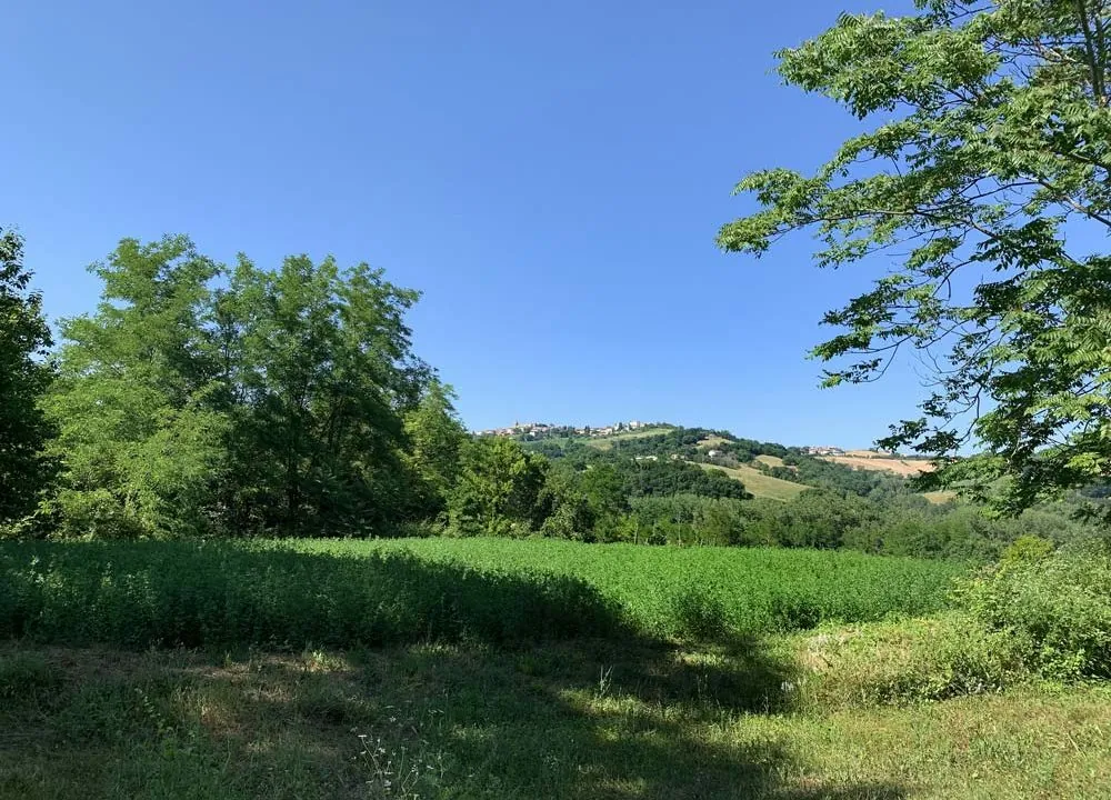 caasle-fratterosa-panorama