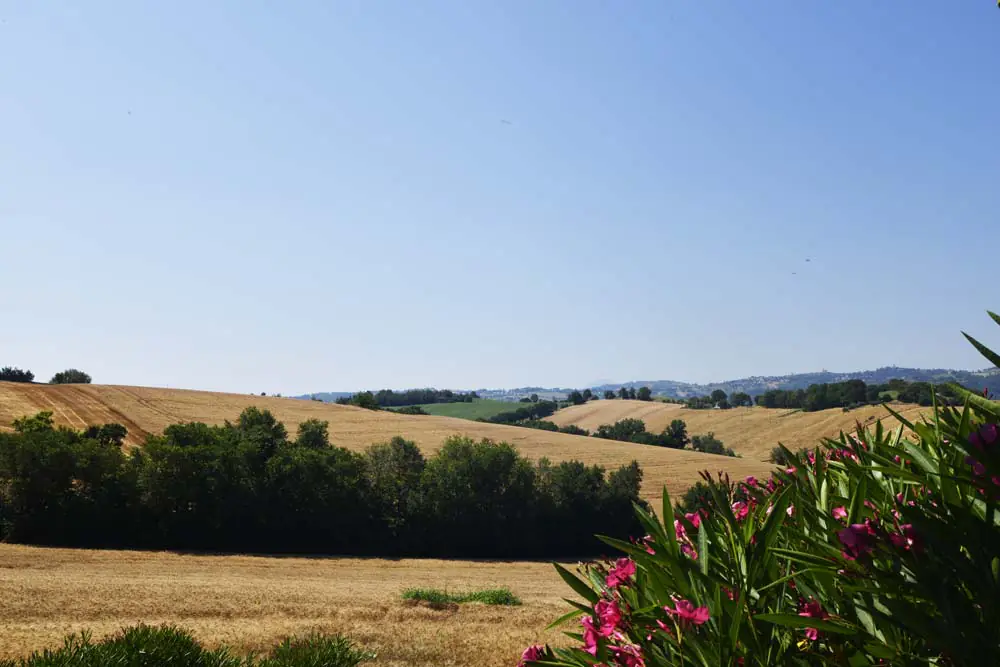 casale-delle-ninfe-campagna