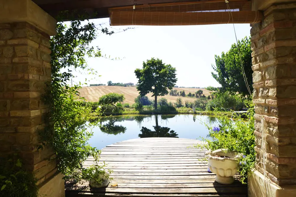casale-delle-ninfe-vista