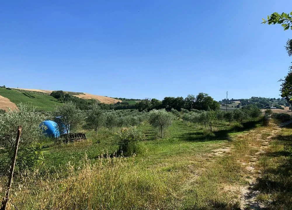 casale-fratterosa-terreno