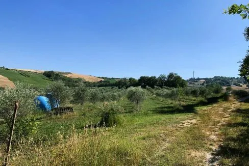 casale-fratterosa-terreno