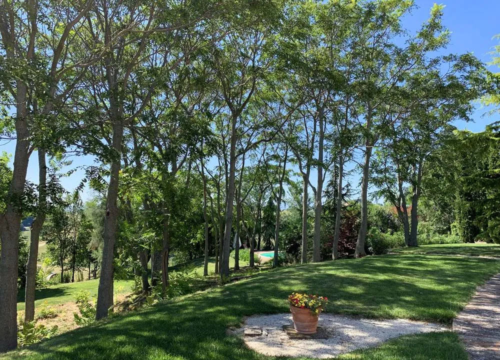 treia-bosco