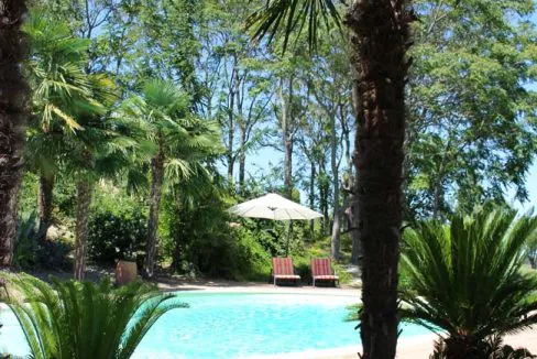 treia-caraibi