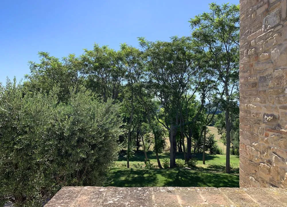 treia-corner