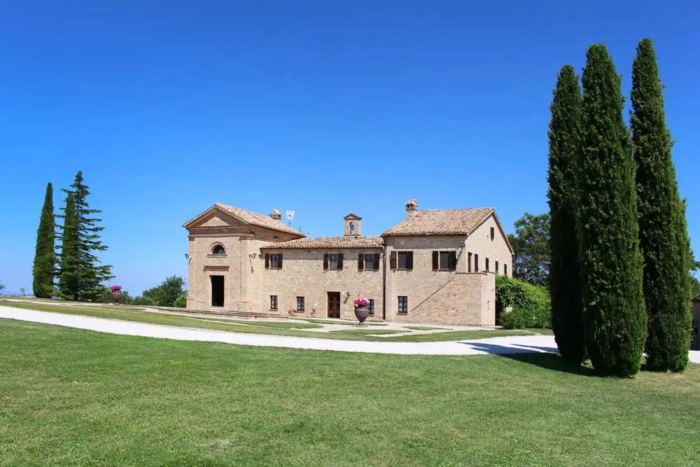 treia-fronte
