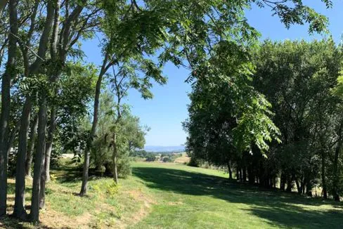 treia-golf