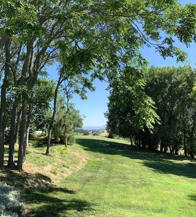 treia-golf