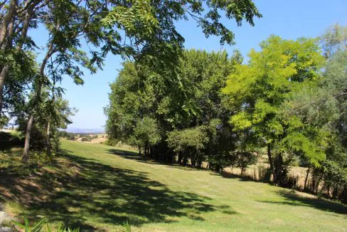 treia-path